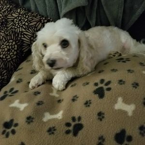 Meet your Posher, Nelda